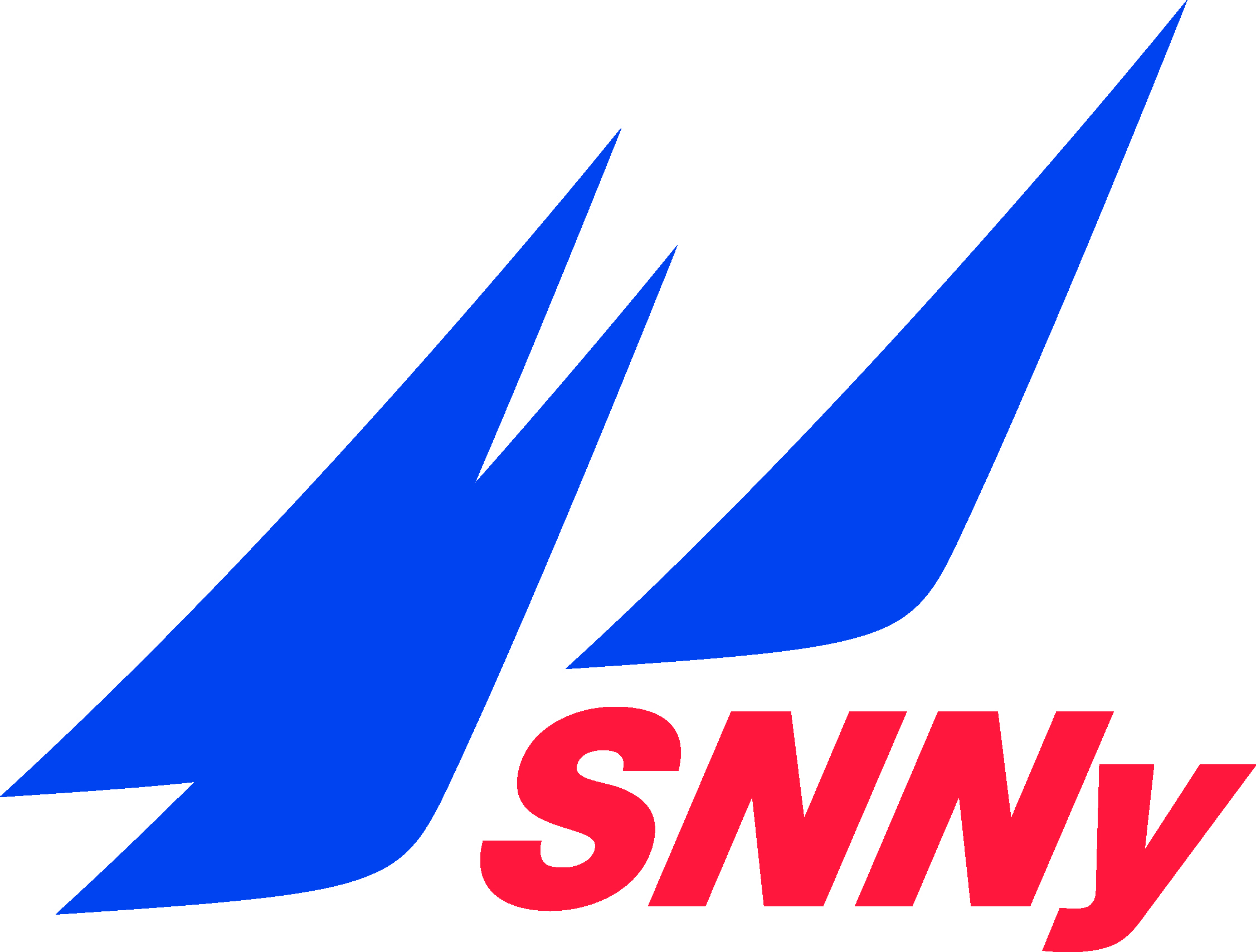 logo-SNNy-